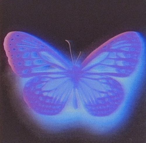 Cover for Let Go